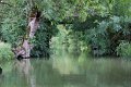 (27) Le Marais Poitevin